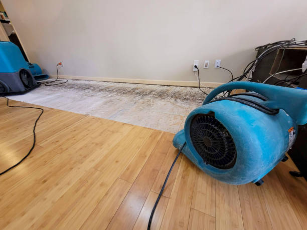 Reliable Burst Pipe Water Damage contractor in Hillsborough, NJ by Hirex Water Damage