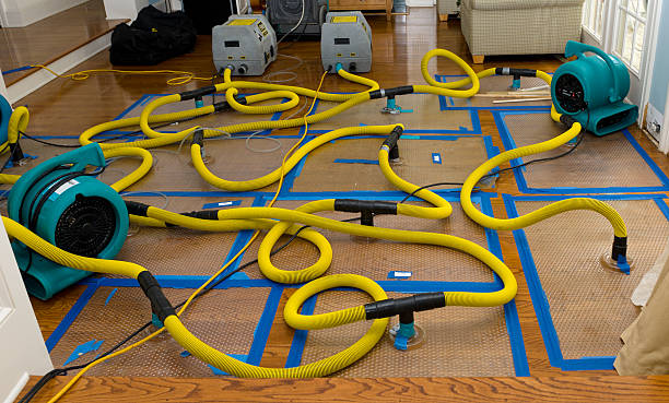 Professional Burst Pipe Water Damage technician working in Hillsborough, NJ